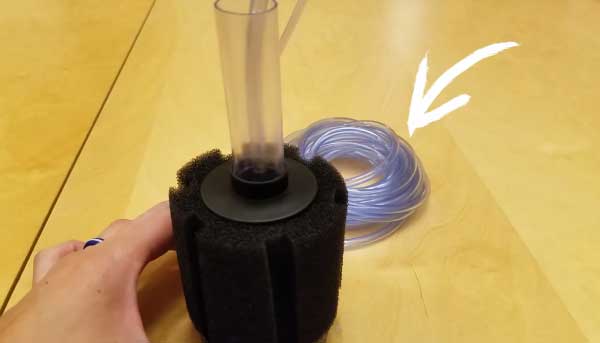 How Do You Set Up a Sponge Filter for a Tank? 