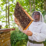 Honey Beekeeping